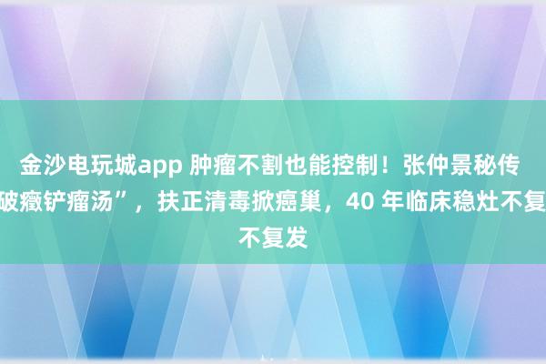 金沙電玩城app 腫瘤不割也能控制！張仲景秘傳 “破癥鏟瘤湯”，扶正清毒掀癌巢，40 年臨床穩(wěn)灶不復(fù)發(fā)