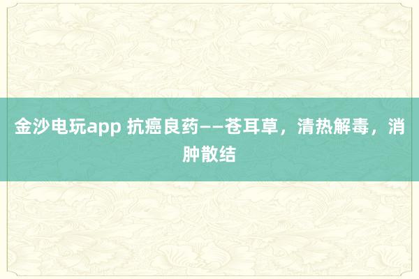 金沙電玩app 抗癌良藥——蒼耳草，清熱解毒，消腫散結