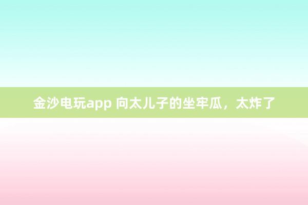金沙電玩app 向太兒子的坐牢瓜,太炸了