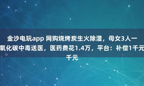金沙電玩app 網購燒烤炭生火除濕，母女3人一氧化碳中毒送醫，醫藥費花1.4萬，平臺：補償1千元