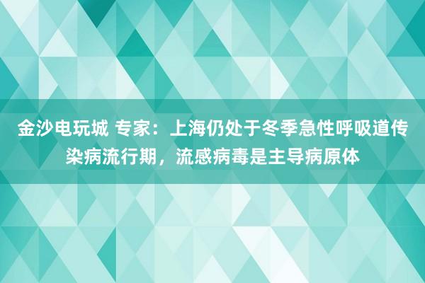金沙電玩城 專家：上海仍處于冬季急性呼吸道傳染病流行期，流感病毒是主導病原體