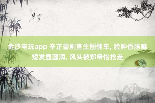 金沙電玩app 辛芷蕾劇宣生圖翻車， 臉腫香腸嘴短發(fā)顯圓潤， 風(fēng)頭被鄭希怡搶走