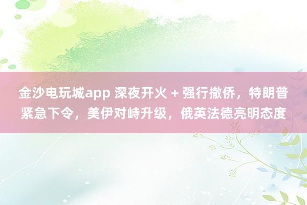 金沙電玩城app 深夜開火 + 強(qiáng)行撤僑，特朗普緊急下令，美伊對峙升級(jí)，俄英法德亮明態(tài)度