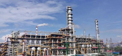 從黑白到彩色,是她近半個(gè)世紀(jì)的足跡